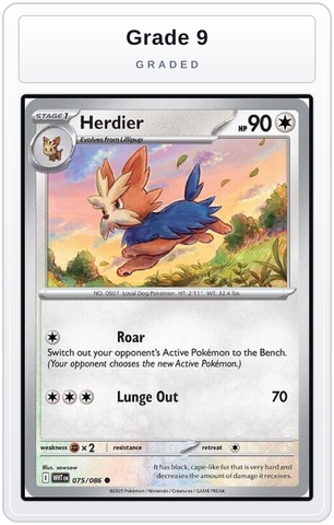 Graded - Herdier — Grade 9 graded overlay
