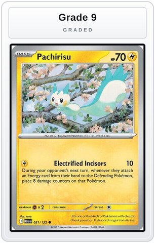 Graded - Pachirisu — Grade 9 graded overlay