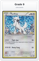 Graded - Furfrou - 12/12 — Grade 9 graded overlay