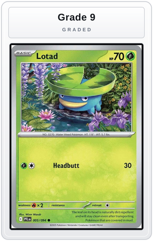 Graded - Lotad — Grade 9 graded overlay