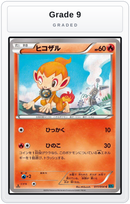 Graded - Chimchar — Grade 9 graded overlay