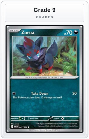 Graded - Zorua — Grade 9 graded overlay