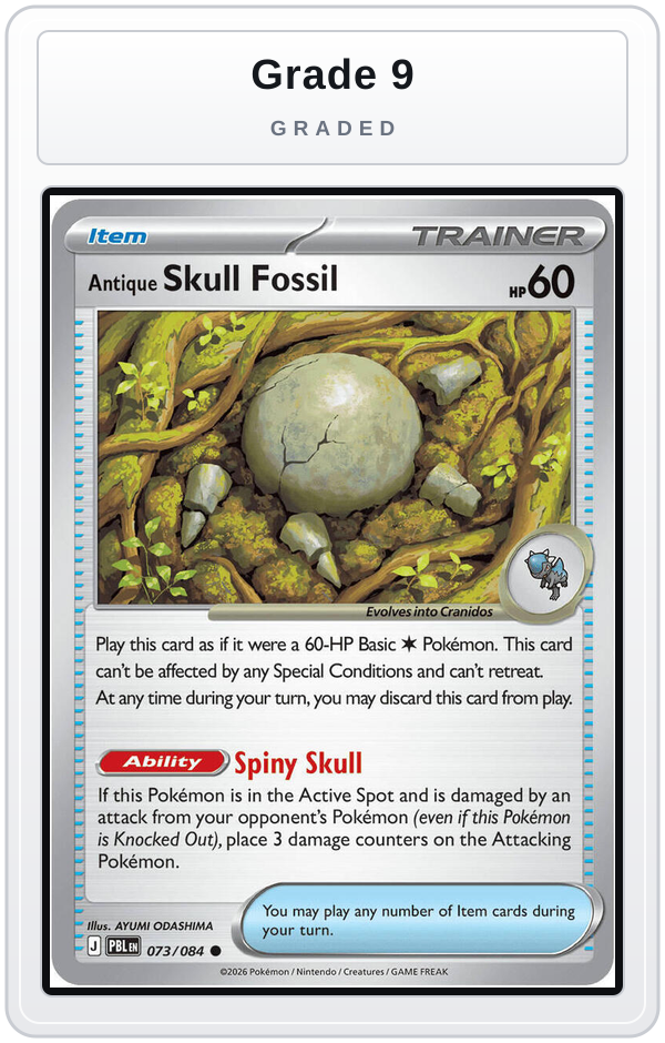 Graded - Antique Skull Fossil — Grade 9 graded overlay