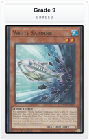 Graded - White Sardine — Grade 9 graded overlay