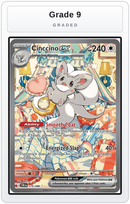 Graded - Cinccino ex - 119/086 — Grade 9 graded overlay