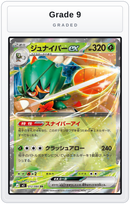 Graded - Decidueye ex - 012/080 — Grade 9 graded overlay