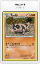 Graded - Sandile - 8/12 — Grade 9 graded overlay
