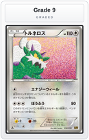Graded - Tornadus — Grade 9 graded overlay