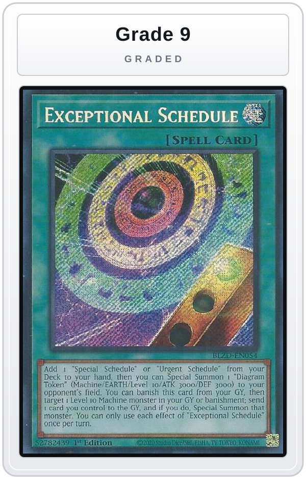 Graded - Exceptional Schedule — Grade 9 graded overlay