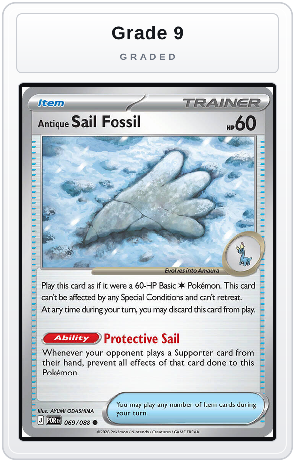 Graded - Antique Sail Fossil — Grade 9 graded overlay
