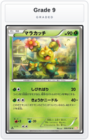 Graded - Maractus — Grade 9 graded overlay