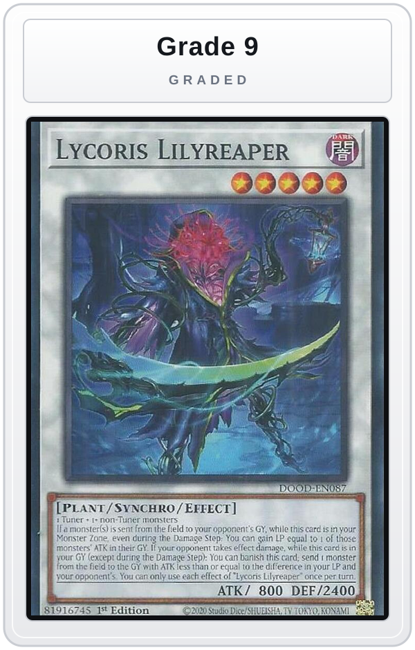 Graded - Lycoris Lilyreaper — Grade 9 graded overlay