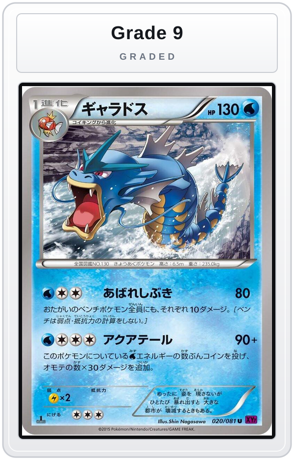 Graded - Gyarados - 020/081 — Grade 9 graded overlay