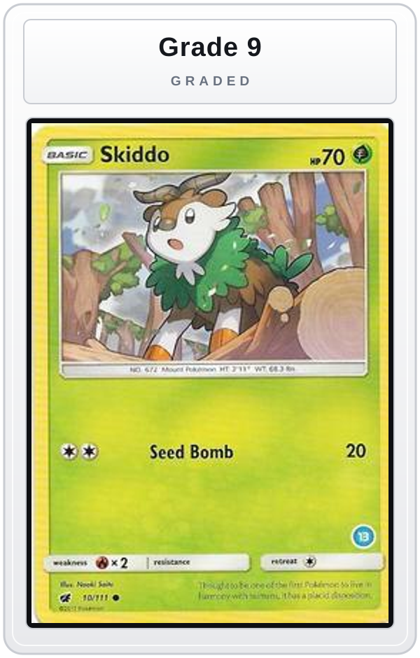 Graded - Skiddo (13) — Grade 9 graded overlay