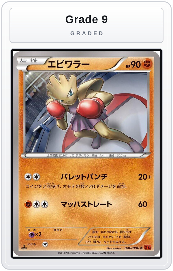 Graded - Hitmonchan — Grade 9 graded overlay