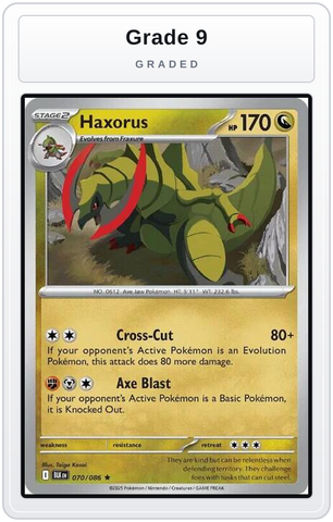 Graded - Haxorus — Grade 9 graded overlay