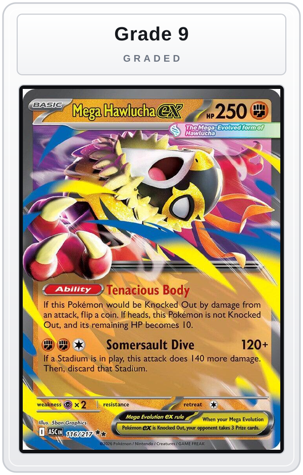 Graded - Mega Hawlucha ex - 116/217 — Grade 9 graded overlay