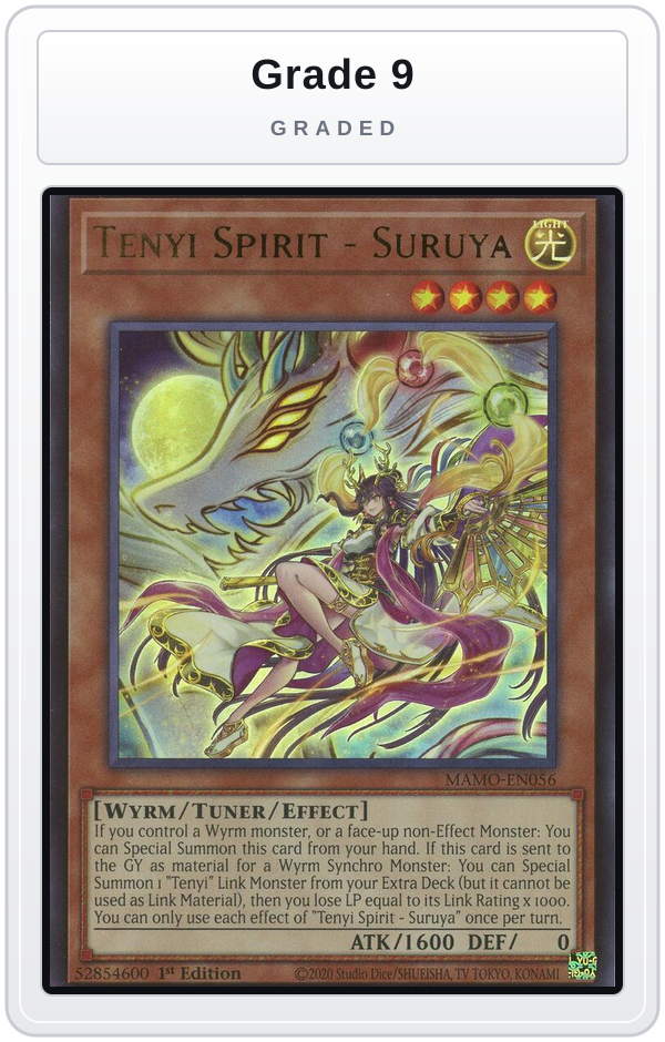 Graded - Tenyi Spirit - Suruya — Grade 9 graded overlay