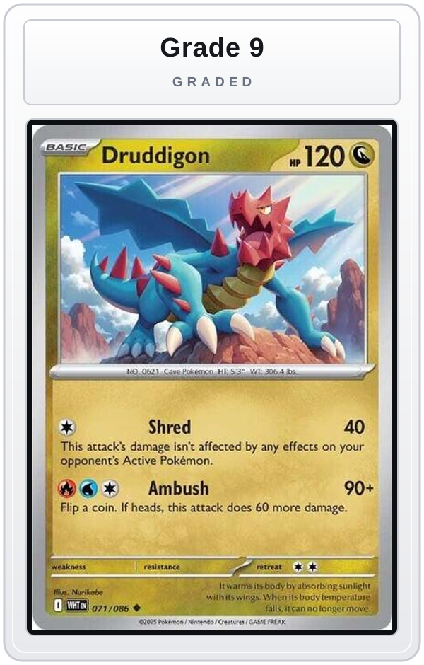Graded - Druddigon — Grade 9 graded overlay