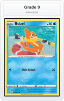 Graded - Buizel — Grade 9 graded overlay