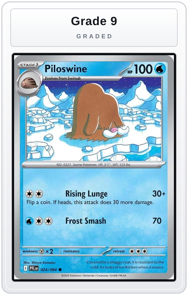 Graded - Piloswine — Grade 9 graded overlay