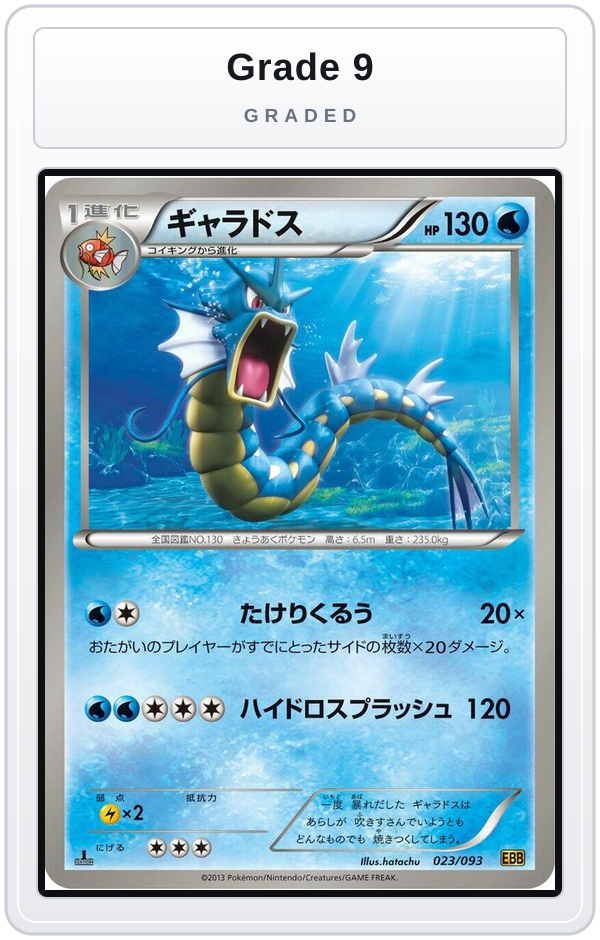 Graded - Gyarados — Grade 9 graded overlay