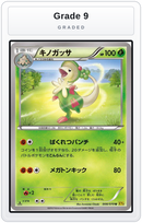 Graded - Breloom — Grade 9 graded overlay