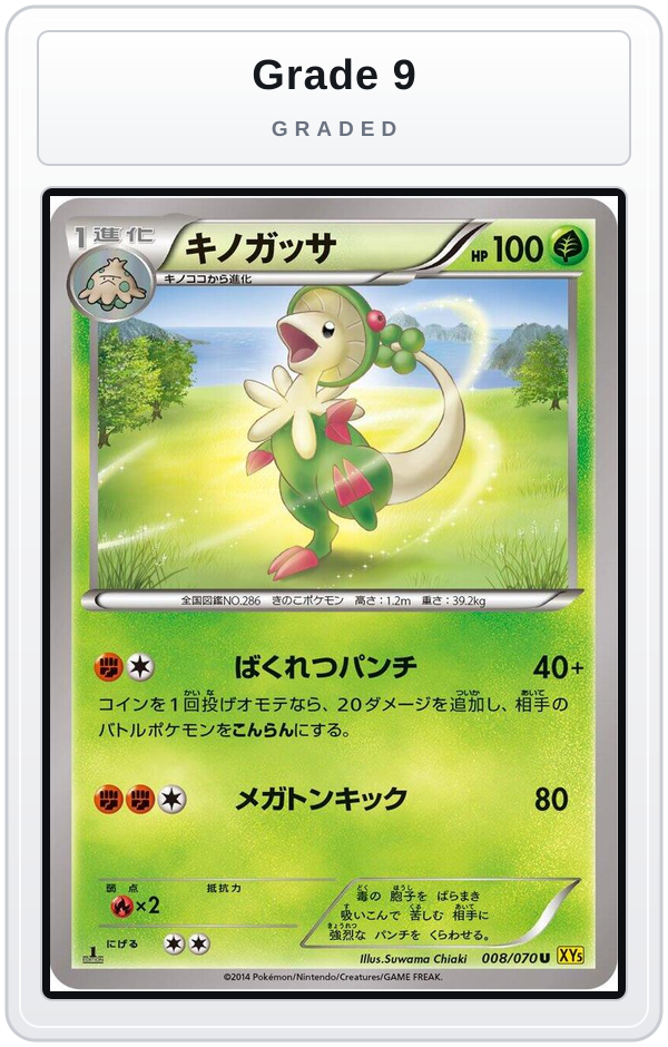 Graded - Breloom — Grade 9 graded overlay