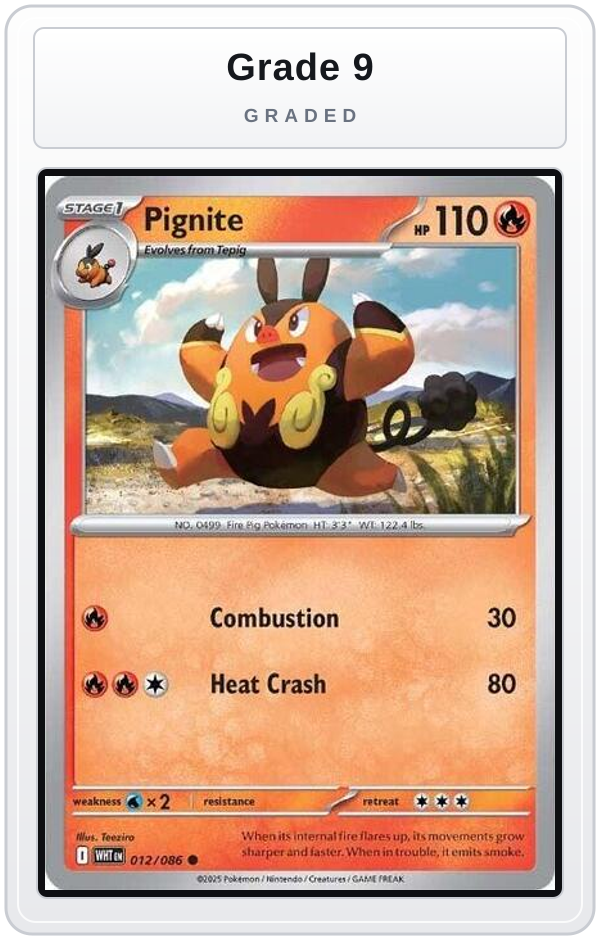Graded - Pignite — Grade 9 graded overlay