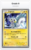 Graded - Pachirisu — Grade 9 graded overlay