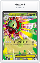 Graded - Mega Meganium ex — Grade 9 graded overlay