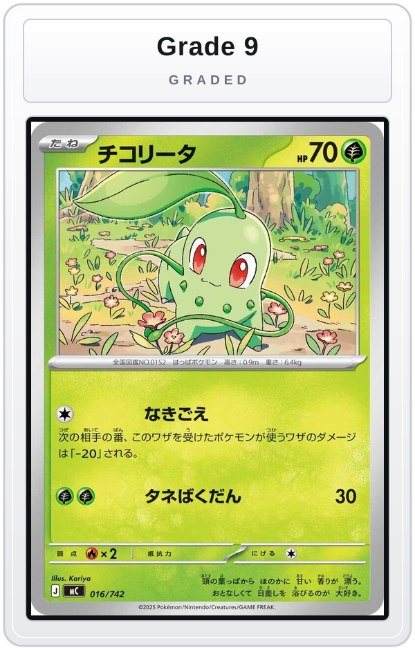 Graded - Chikorita — Grade 9 graded overlay