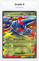 Graded - Mega Heracross ex - 004/094 — Grade 9 graded overlay