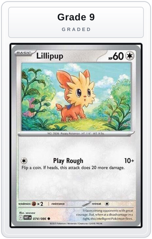 Graded - Lillipup — Grade 9 graded overlay