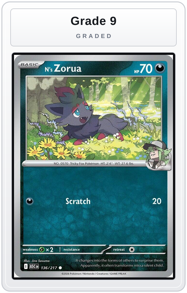 Graded - N's Zorua — Grade 9 graded overlay