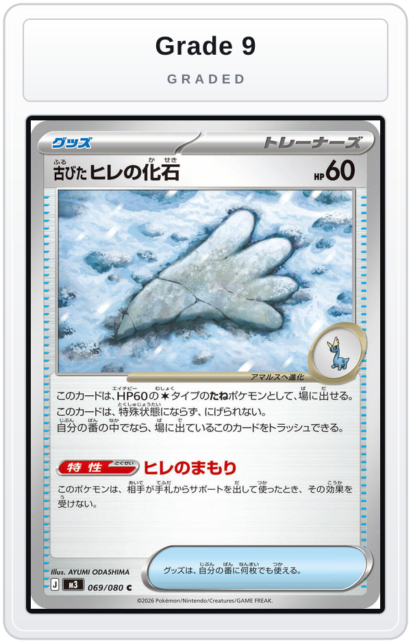 Graded - Antique Sail Fossil — Grade 9 graded overlay