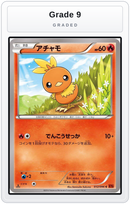 Graded - Torchic — Grade 9 graded overlay