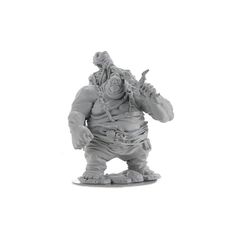 D&D NOLZUR'S MARVELOUS MINIATURES: HILL GIANT
