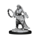 Nolzur's Marvelous Miniatures: Human Monk Female
