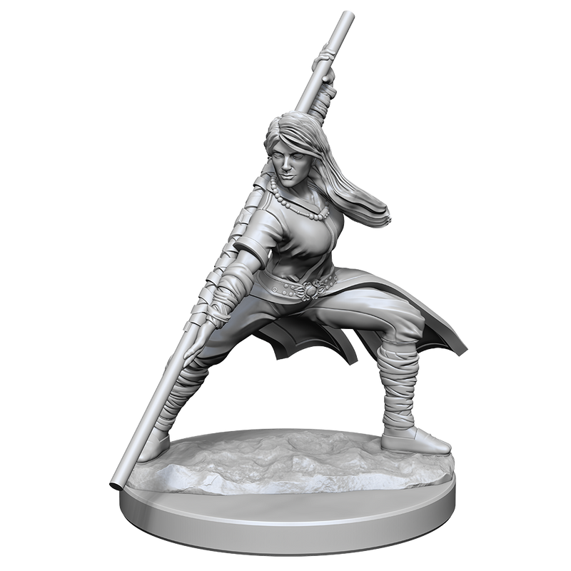 Nolzur's Marvelous Miniatures: Human Monk Female