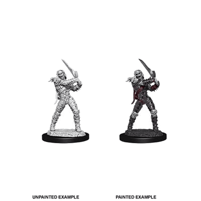 D&D Nolzur's Marvelous Unpainted Miniatures: Wave 11: Wight & Ghast (EN)
