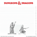 D&D Nolzur's Marvelous Unpainted Miniatures: Cultist of Bhaal & Cultist of Myrkul (EN) ^ Q3 2026