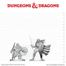 D&D Nolzur's Marvelous Unpainted Miniatures: Dwarf Fighter & Orc Paladin (EN) ^ Q3 2026