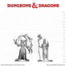 D&D Nolzur's Marvelous Unpainted Miniatures: Human Druid & Elf Sorcerer (EN) ^ Q3 2026