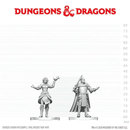 D&D Nolzur's Marvelous Unpainted Miniatures: Knight & Mage Apprentice (EN) ^ Q3 2026