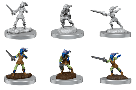 Nolzur's Marvelous Miniatures: Quicklings