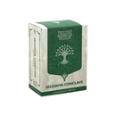 Dragon Shield: Standard 100ct Sleeves - Selesnya Conclave