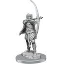 WIZKIDS DEEP CUTS: HUMAN ROGUE