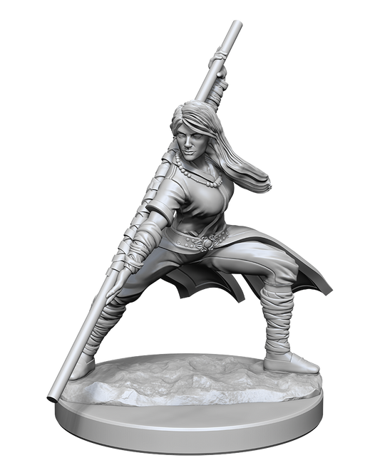 Nolzur's Marvelous Miniatures: Human Monk Female