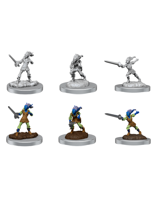 Nolzur's Marvelous Miniatures: Quicklings